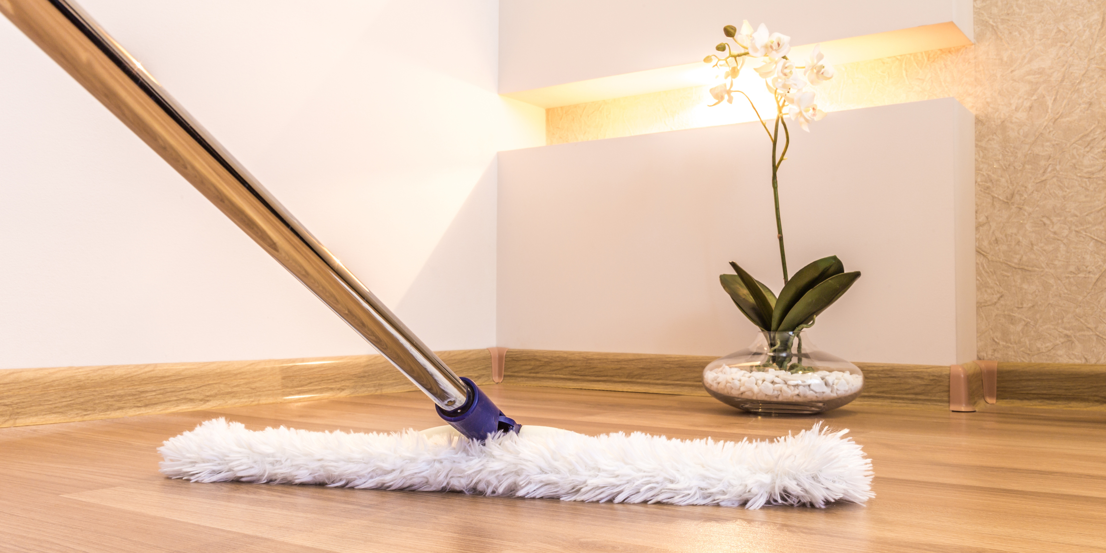 HOUSE CLEANING